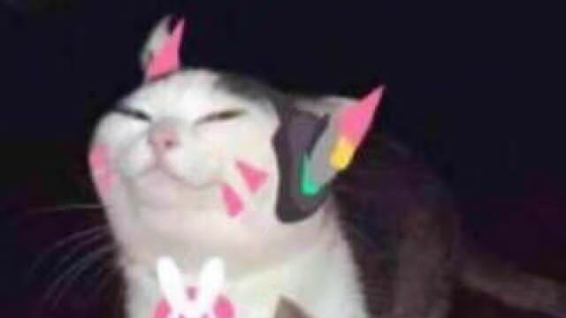 不 要 笑 挑 战(地狱级)第二弹